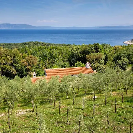 Roinizza In Prtlog *