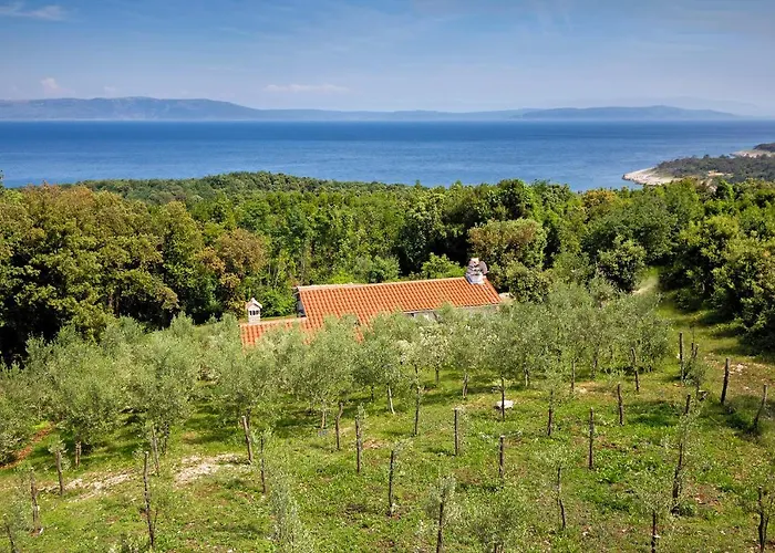 Roinizza In Prtlog *